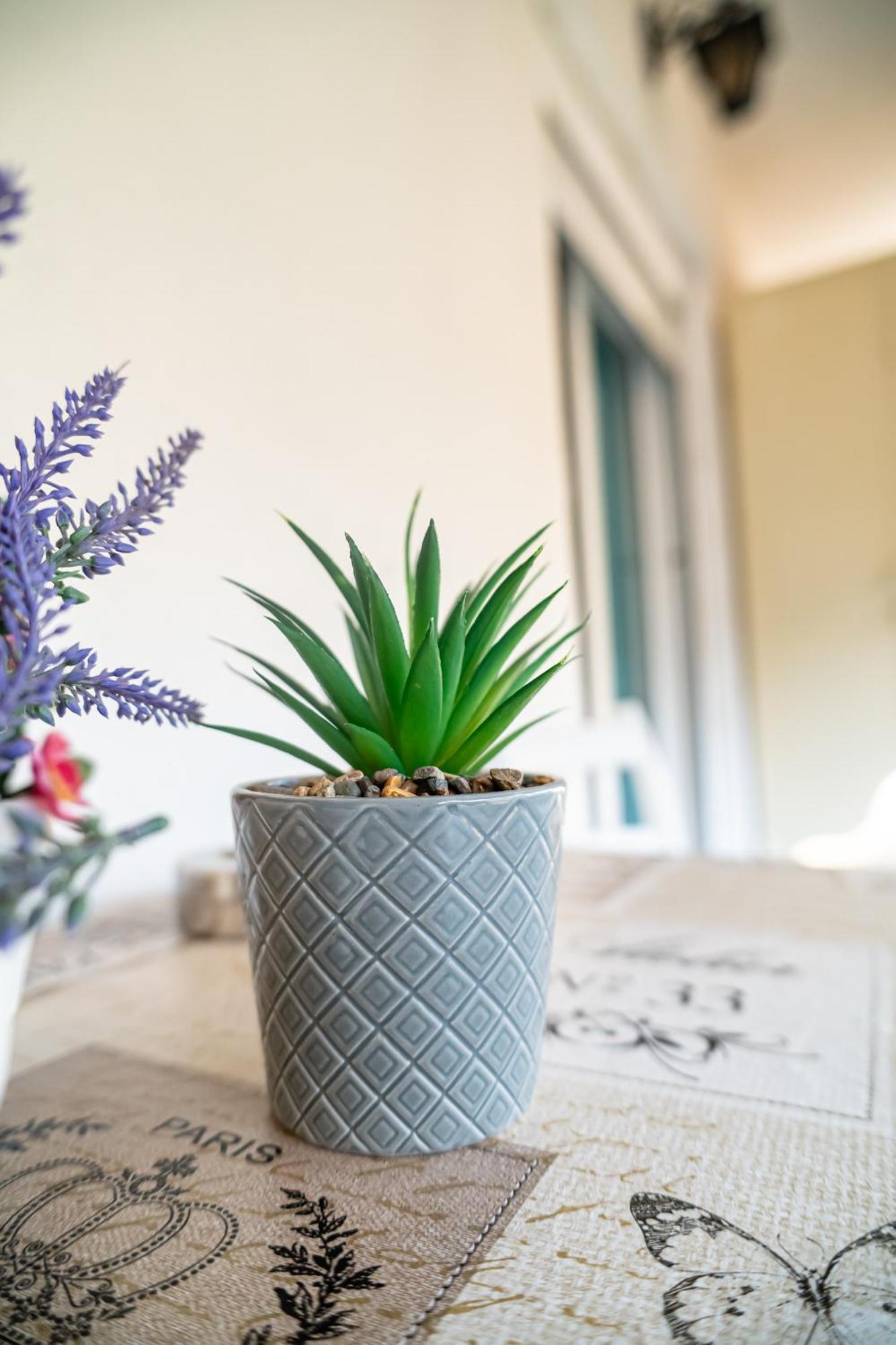 Feel Greek Hospitality #Θ006 Apartment Thessaloníki Luaran gambar