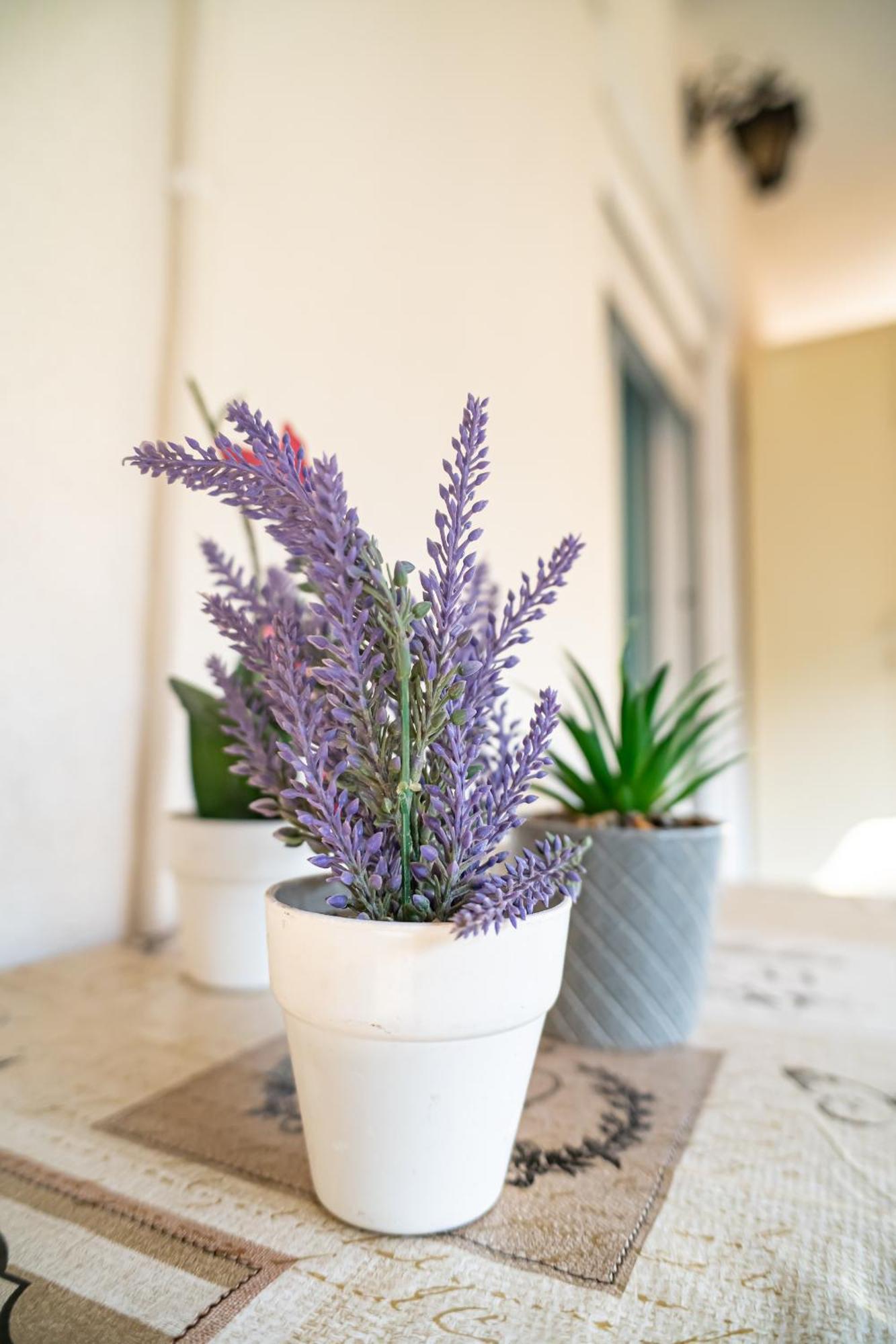 Feel Greek Hospitality #Θ006 Apartment Thessaloníki Luaran gambar